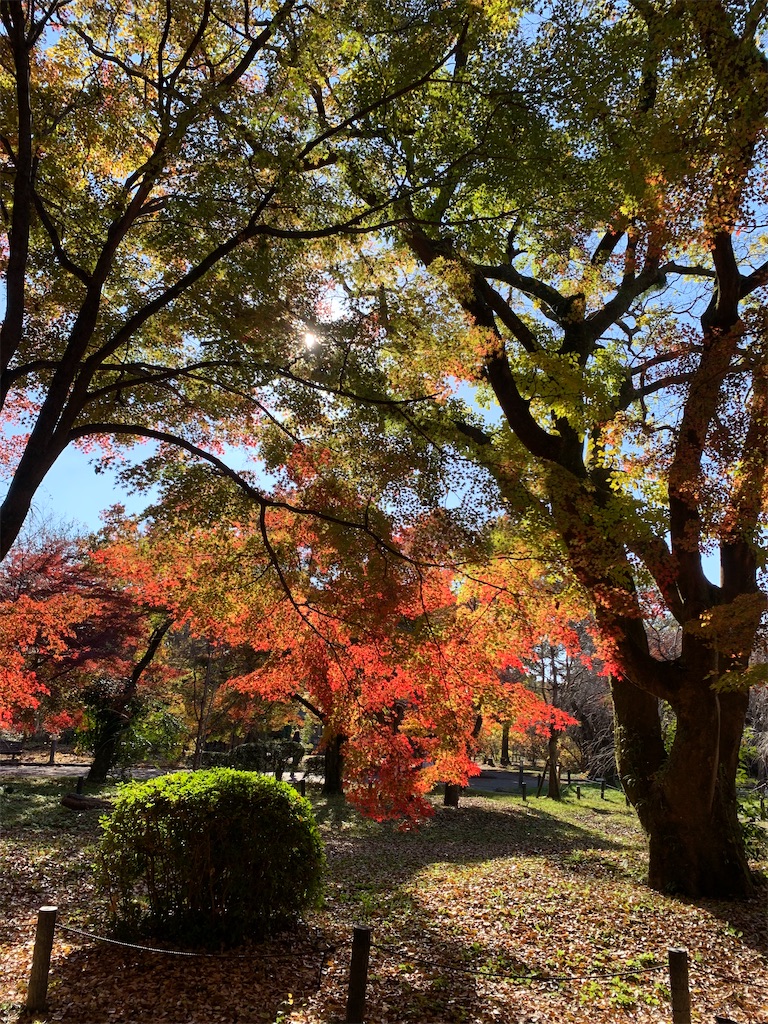 f:id:nippon-henro:20251129141747j:image