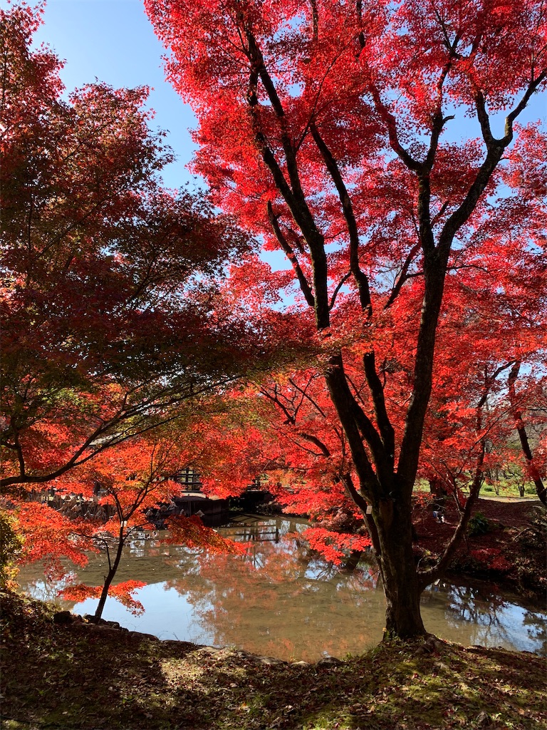 f:id:nippon-henro:20251129141947j:image