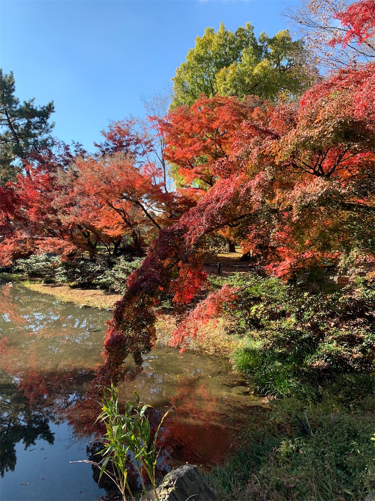 f:id:nippon-henro:20251129141956j:image