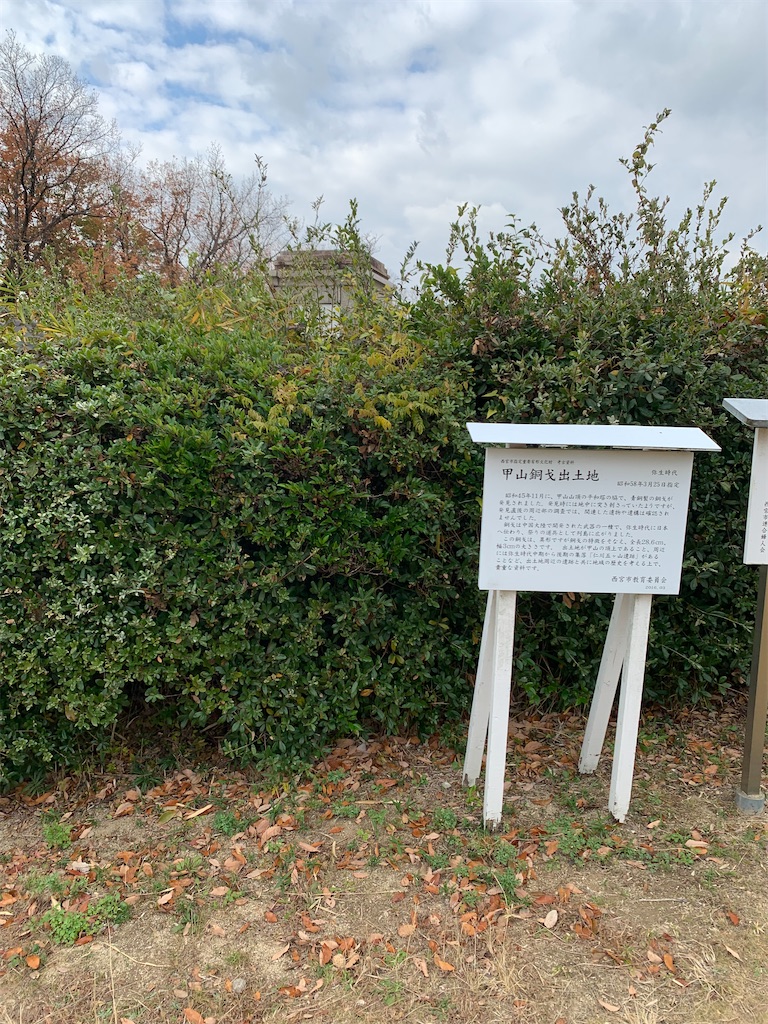 f:id:nippon-henro:20251208075426j:image