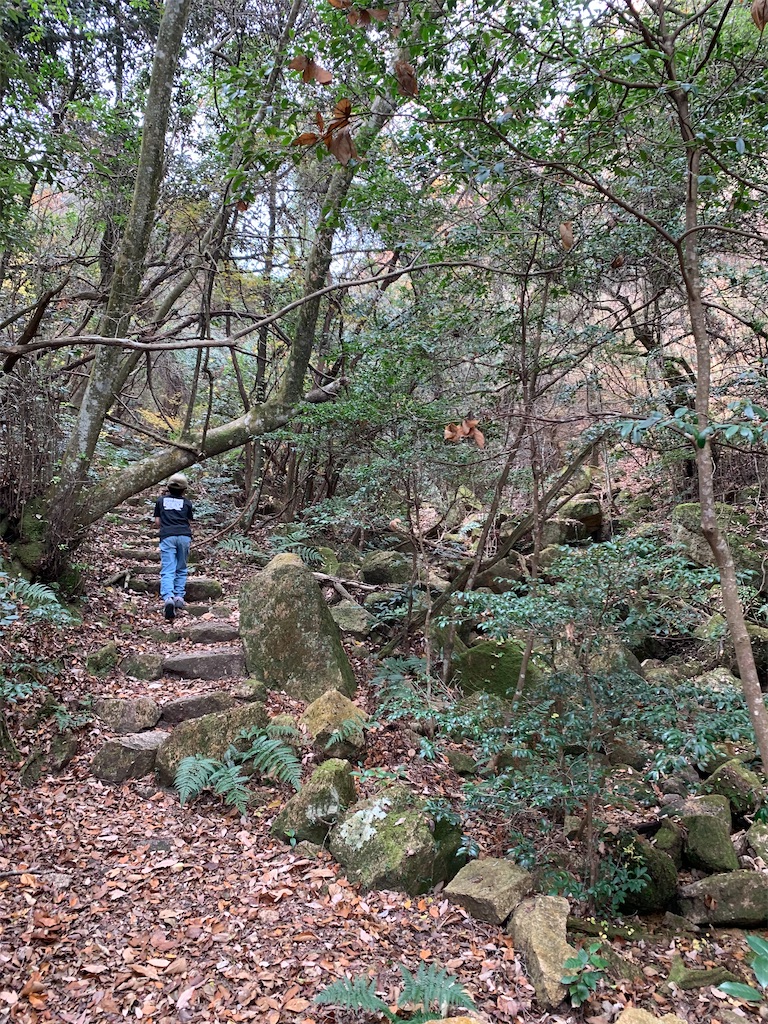 f:id:nippon-henro:20251208103055j:image