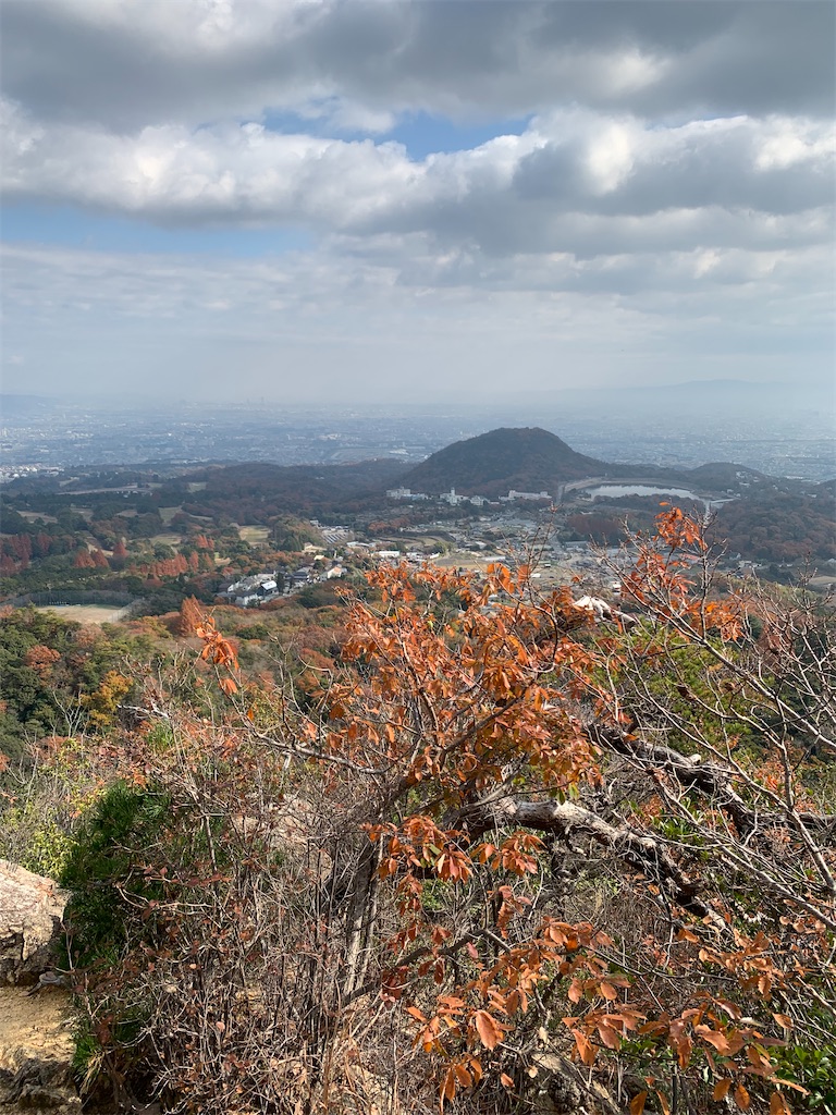 f:id:nippon-henro:20251208103137j:image