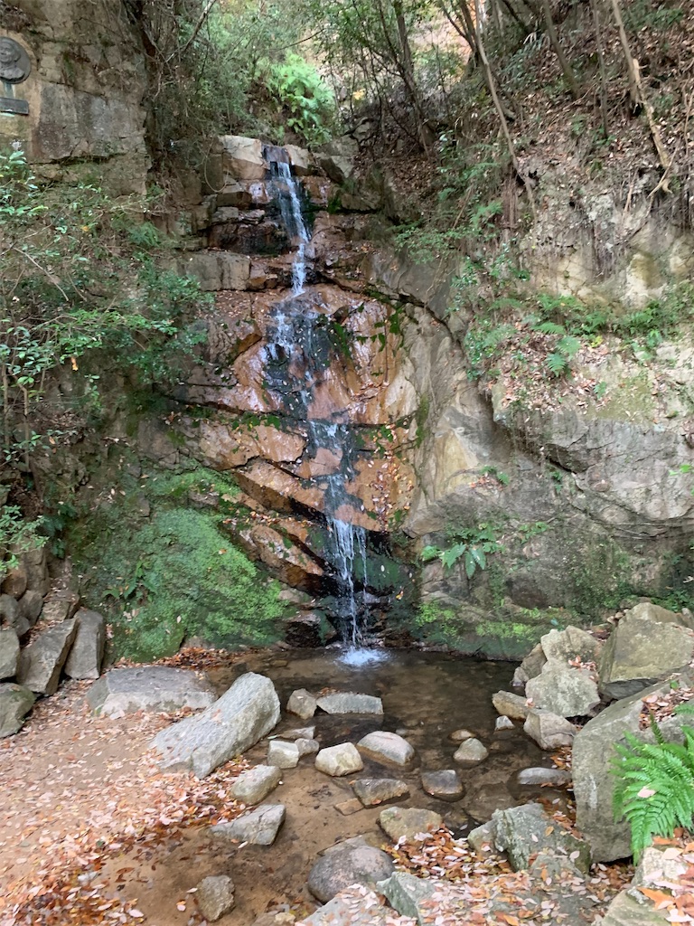 f:id:nippon-henro:20251208122806j:image