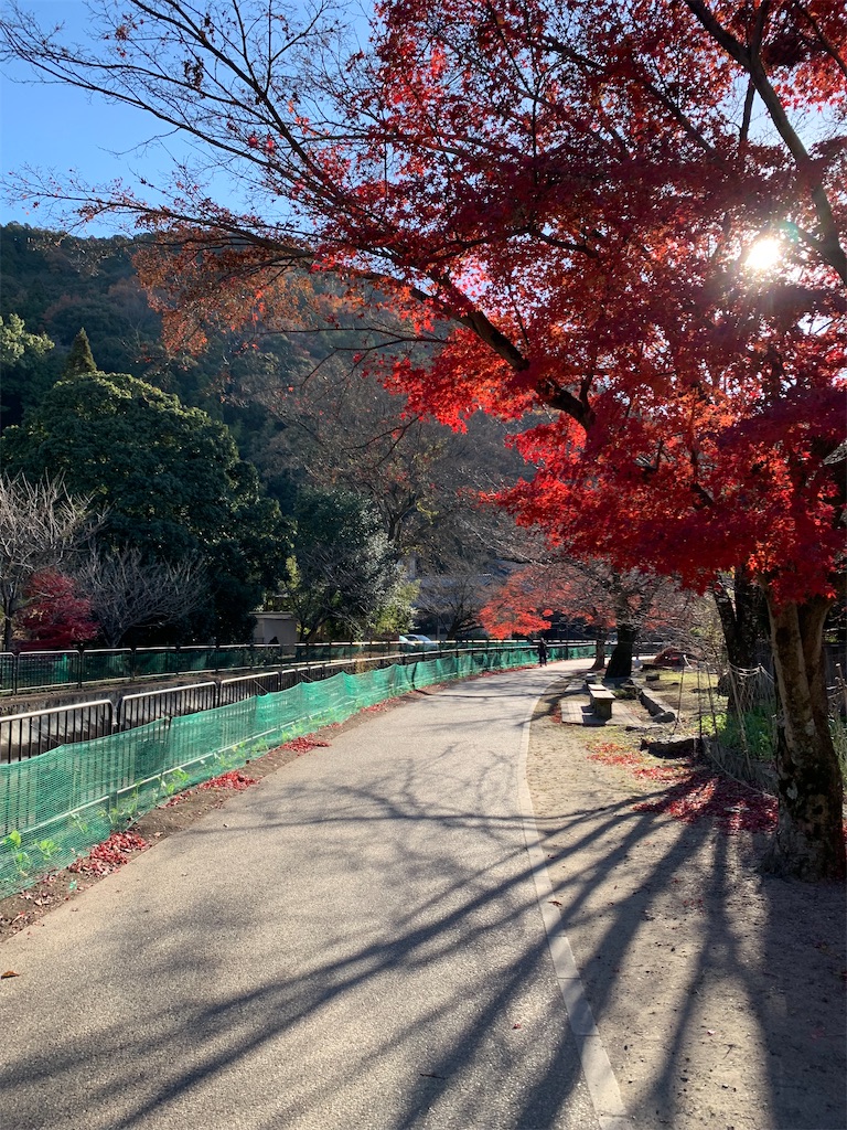 f:id:nippon-henro:20251213143928j:image