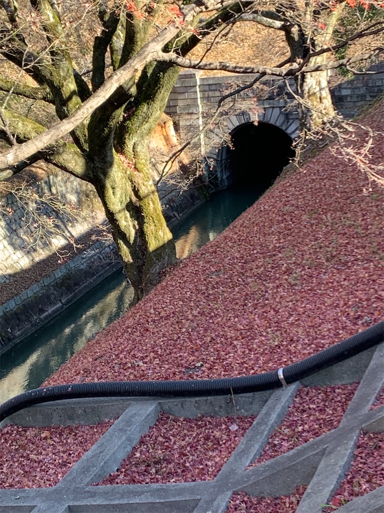 f:id:nippon-henro:20251213143954j:image