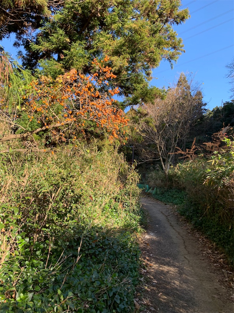 f:id:nippon-henro:20251213144028j:image