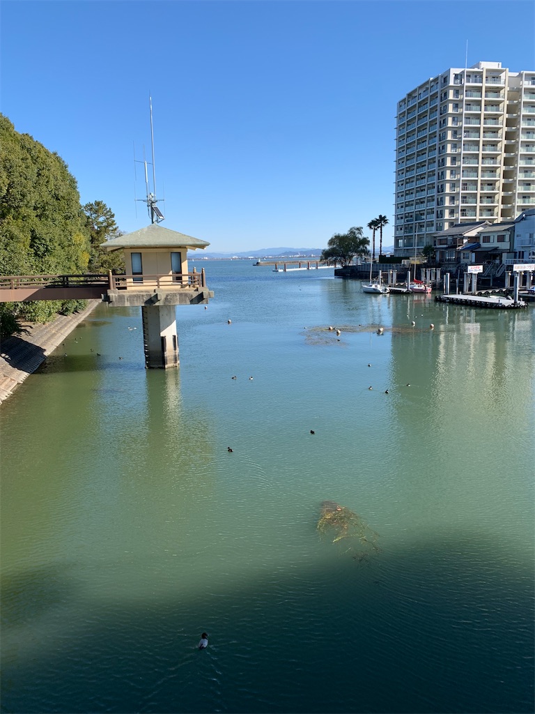 f:id:nippon-henro:20251213144125j:image