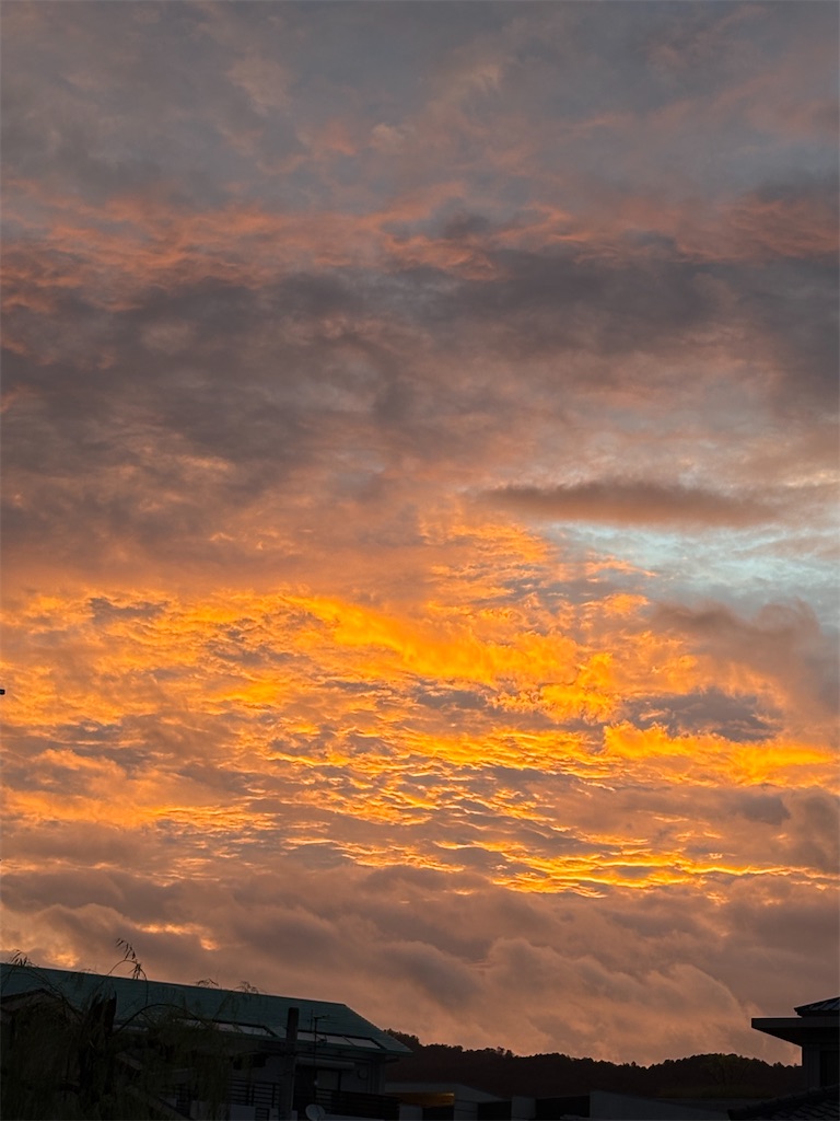 f:id:nippon-henro:20260816080210j:image