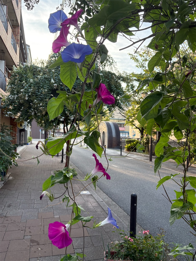 f:id:nippon-henro:20260822063543j:image