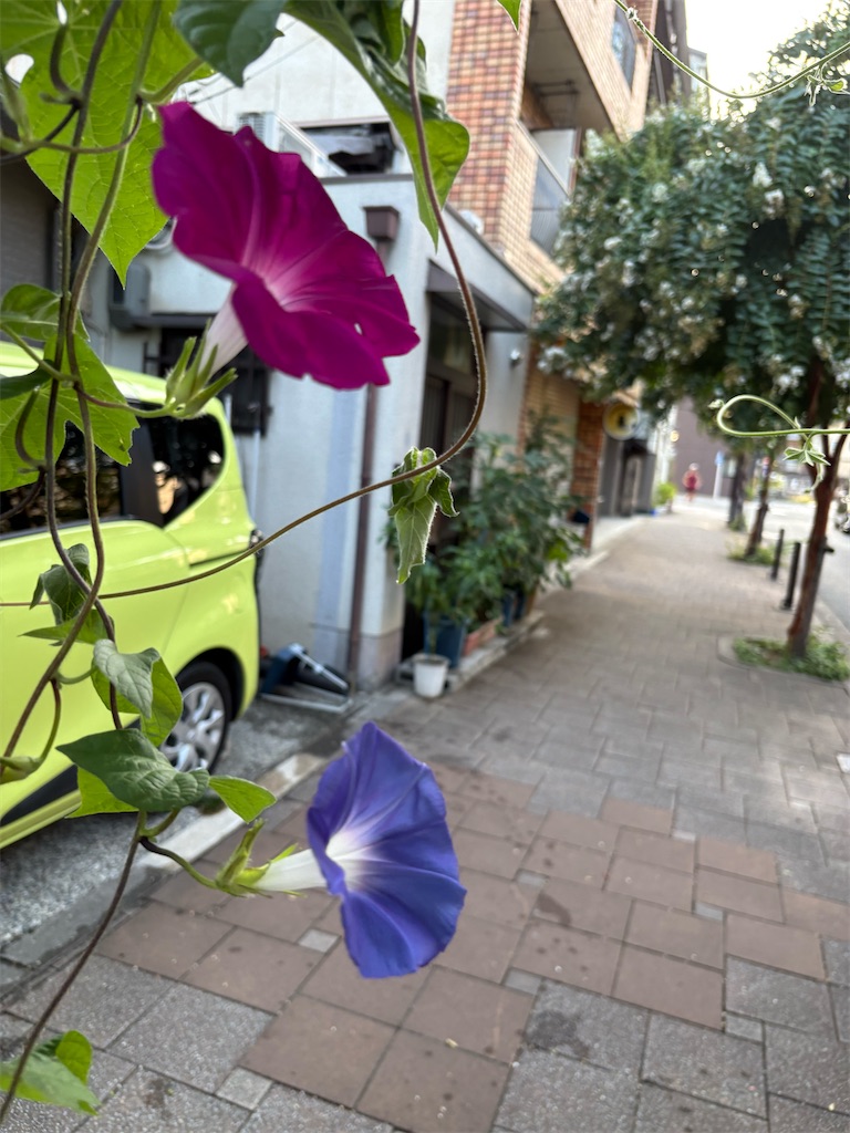 f:id:nippon-henro:20260822063551j:image