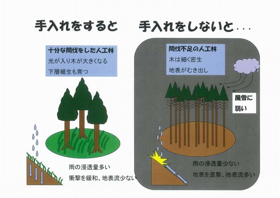 f:id:nippon2014be:20190923152115j:plain