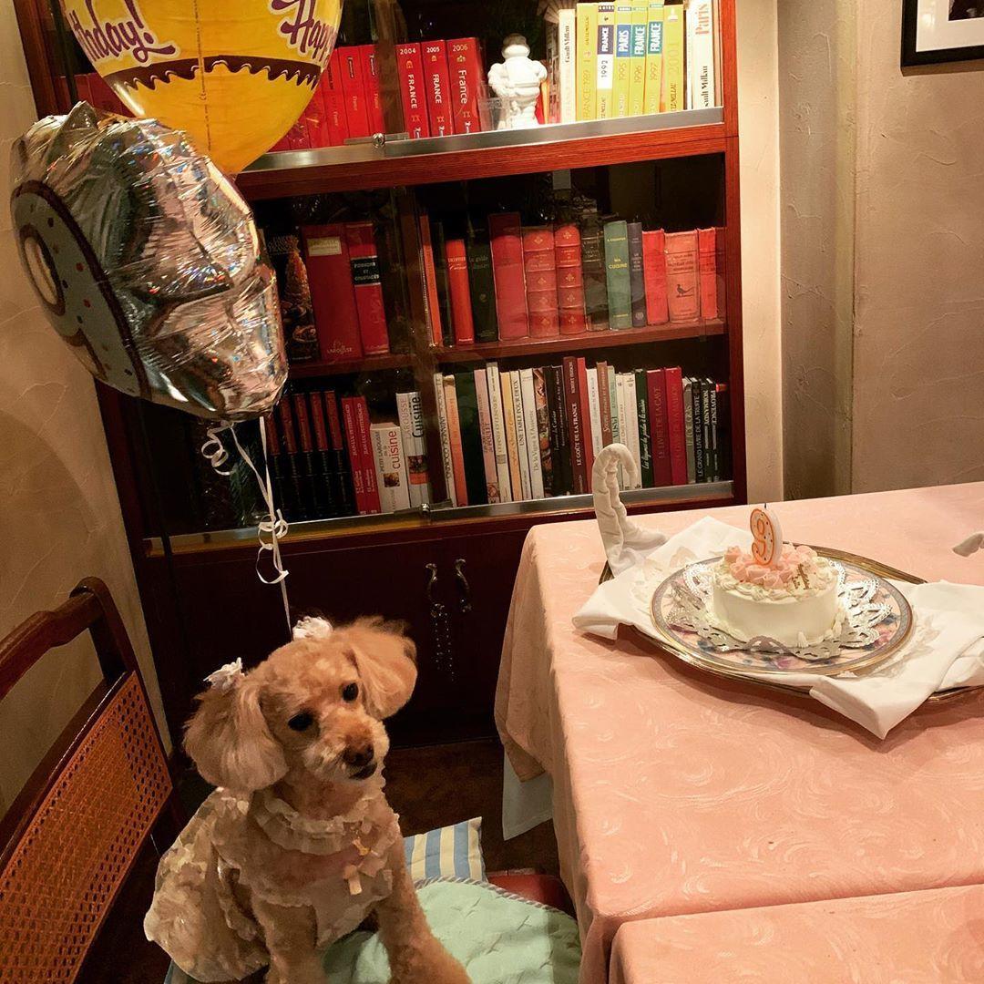 f:id:nippon2014be:20190930160211j:plain