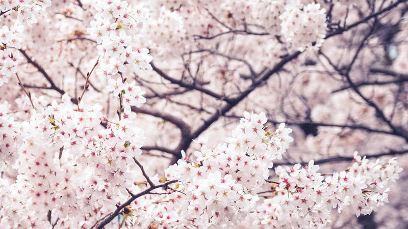 f:id:nippon2014be:20191130173601j:plain