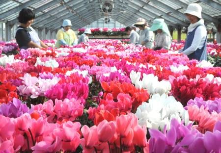 f:id:nippon5374:20081028220002j:image f:id:nippon5374:20081028220002j:image