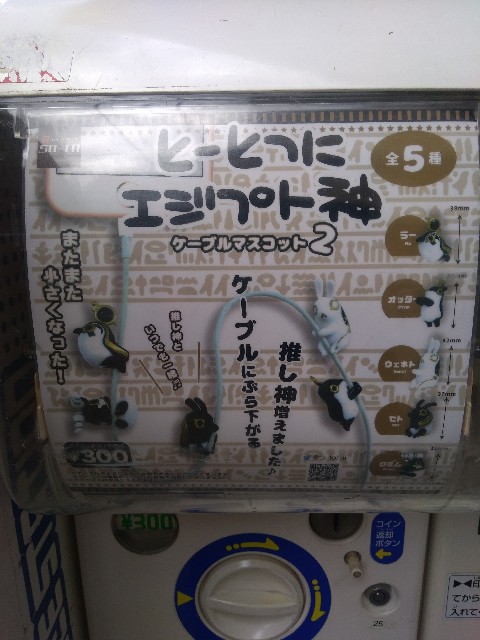 f:id:nipponbasinohibi:20210805125540j:image