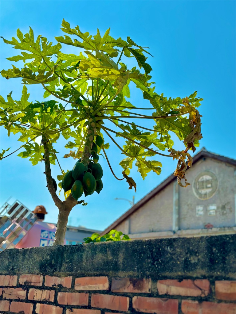 f:id:nira58:20260420185131j:image