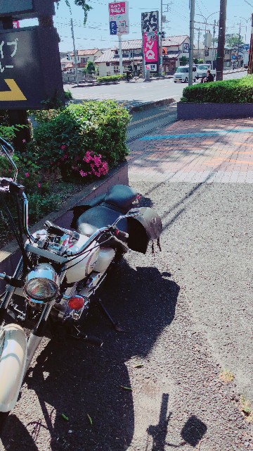 ドラッグスター 250 オーナーに約3か月 改めてインプレッション Ds250 にりんぶろぐ