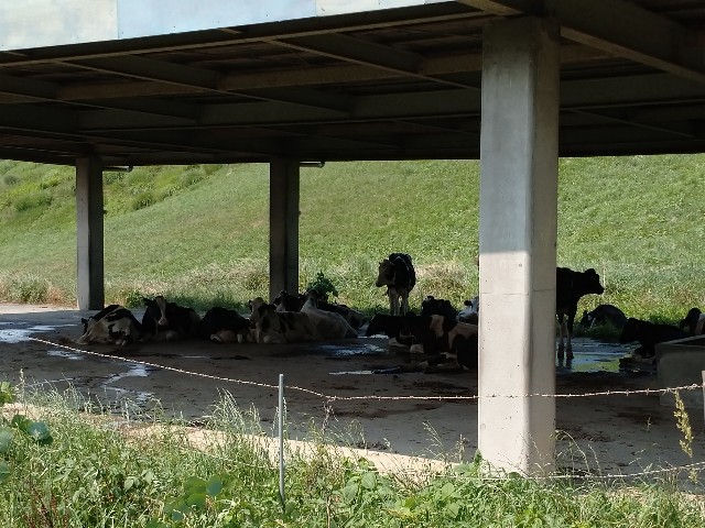 f:id:nirinvlog:20190831224817j:image f:id:nirinvlog:20190831224817j:image