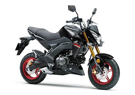 Z125 Pro (メタリックフラットスパークブラック)