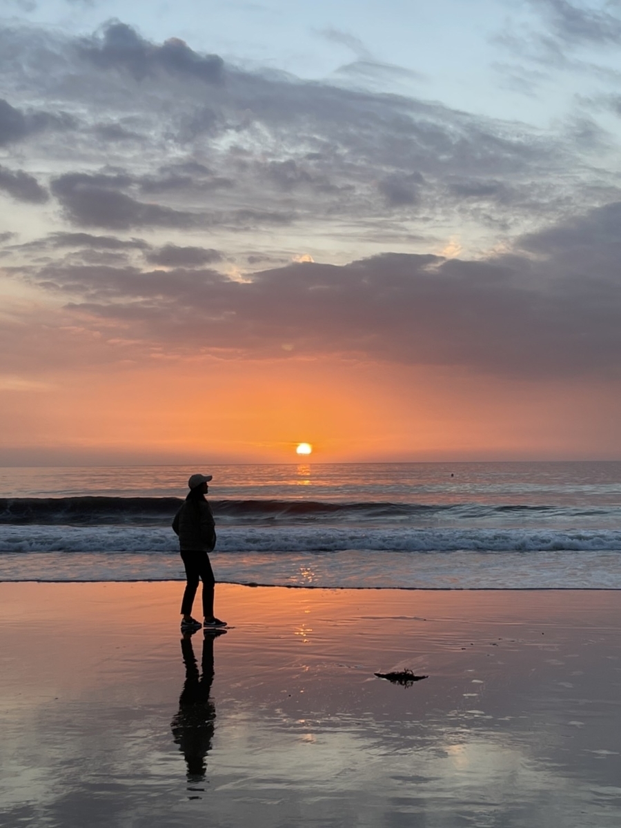 f:id:nirusu-la:20211224134420j:plain