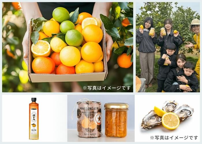 アンドピリオド,株主優待
