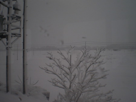 f:id:nised:20131214101112j:image:w160