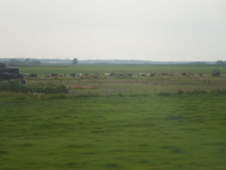 f:id:nised:20160723011643j:image:w160