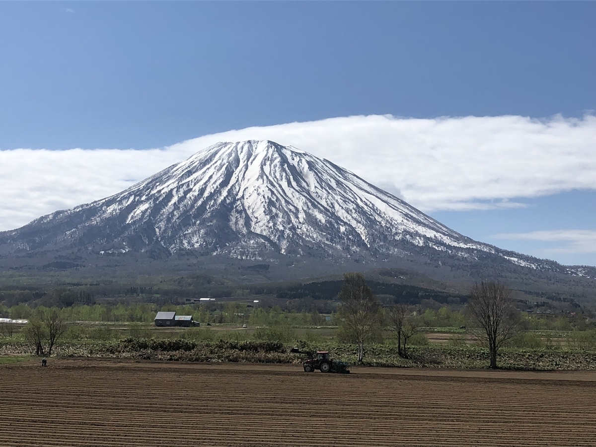 f:id:nisekokutchan:20190511141527j:plain