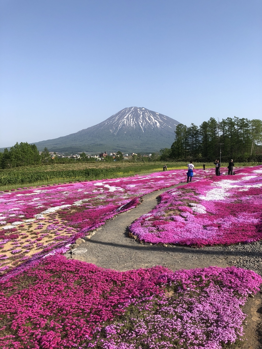 f:id:nisekokutchan:20190525174244j:plain