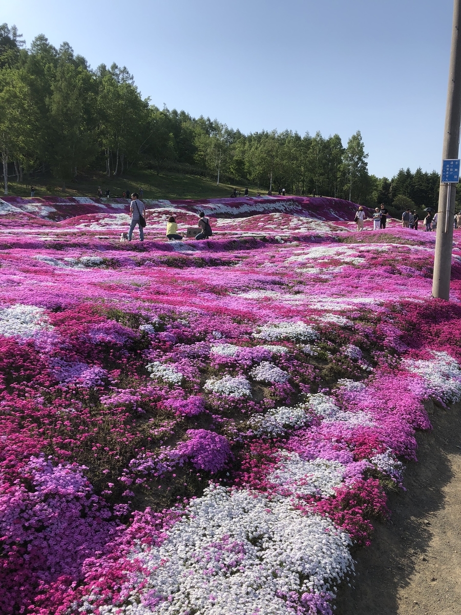 f:id:nisekokutchan:20190525174255j:plain