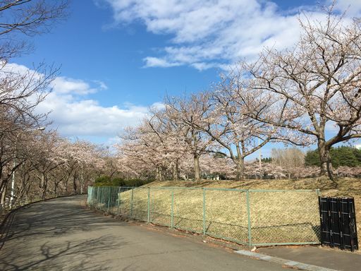f:id:nisekon:20170424203137j:plain f:id:nisekon:20170424203137j:plain