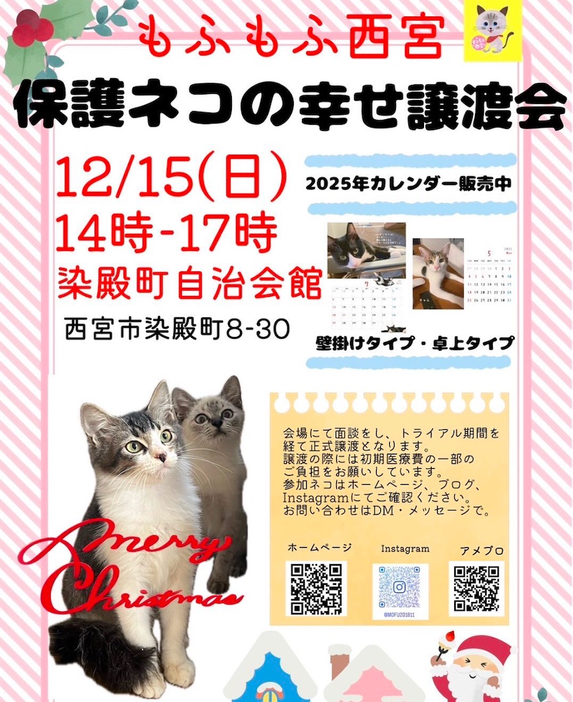 f:id:nishi-city5:20241211133533j:image