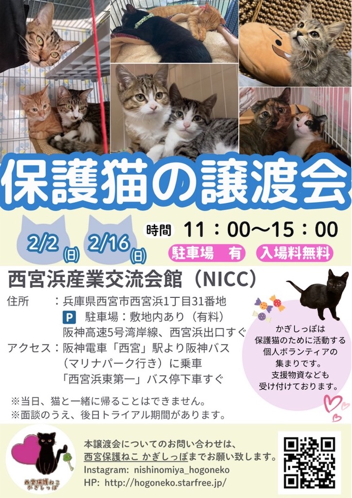 f:id:nishi-city5:20250215113448j:image