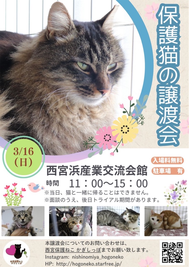 f:id:nishi-city5:20250313100707j:image