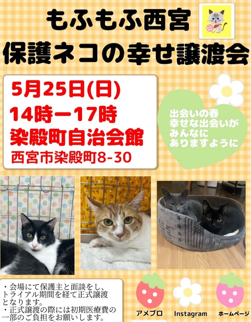 f:id:nishi-city5:20250521104713j:image