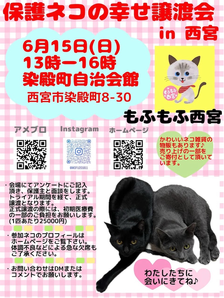f:id:nishi-city5:20250605092155j:image
