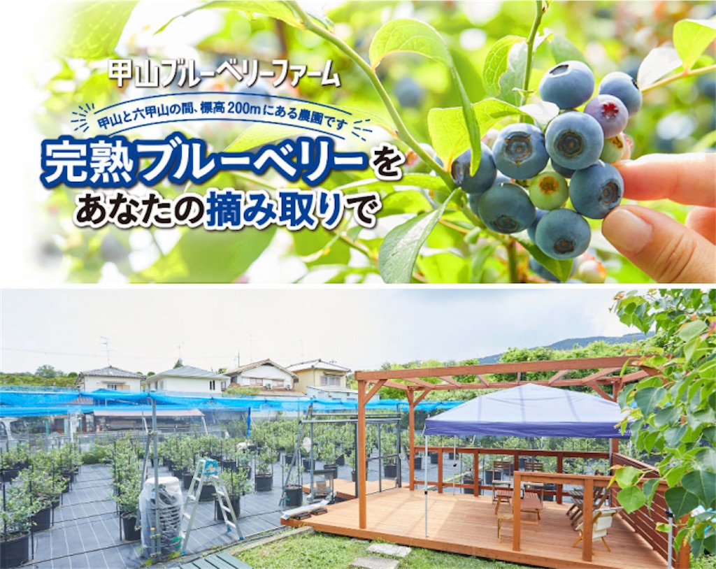 f:id:nishi-city5:20250605124607j:image