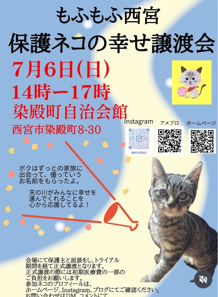 f:id:nishi-city5:20250626114801j:image