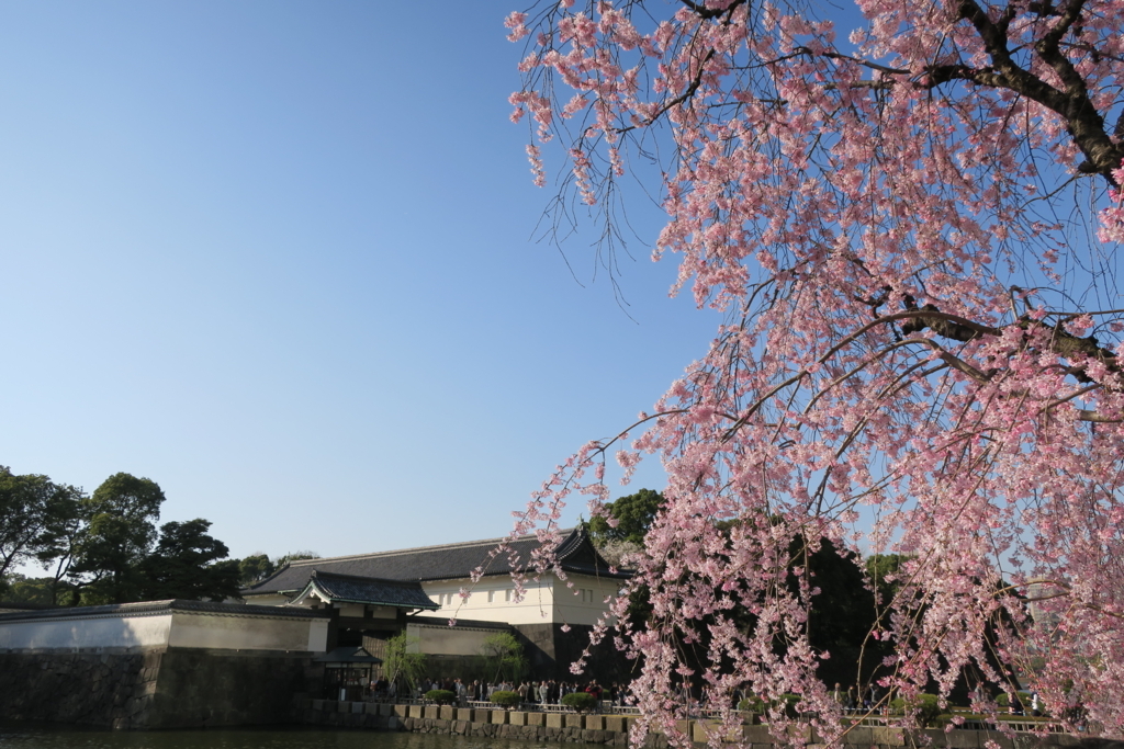 f:id:nishi0001:20180328100212j:plain