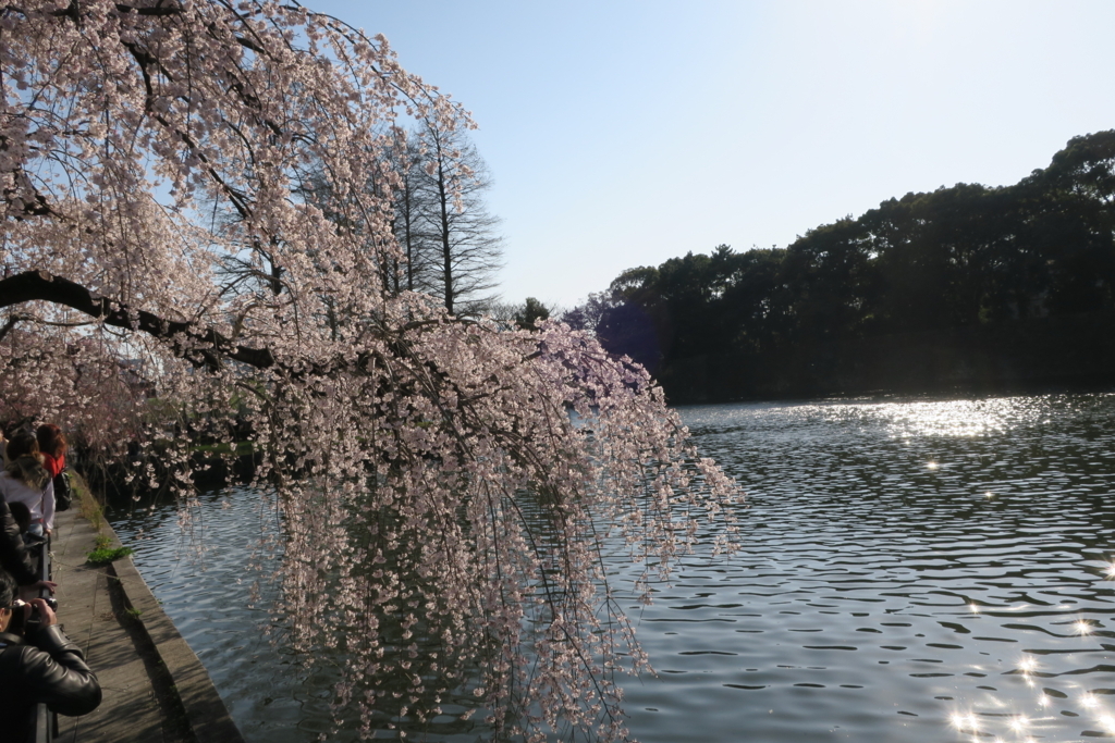 f:id:nishi0001:20180328100730j:plain