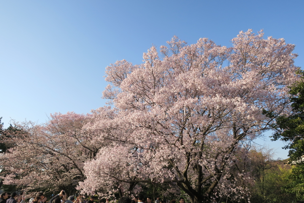 f:id:nishi0001:20180328101054j:plain