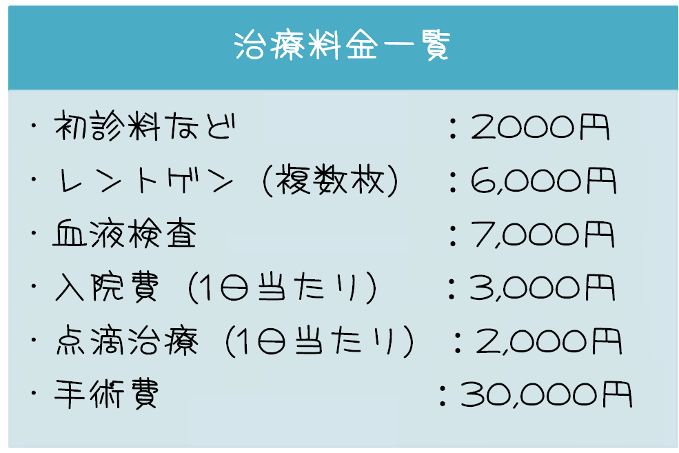 f:id:nishi244455666:20170319112909p:plain f:id:nishi244455666:20170319112909p:plain