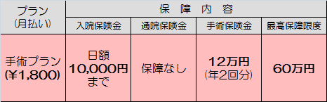 f:id:nishi244455666:20170319115910p:plain f:id:nishi244455666:20170319115910p:plain