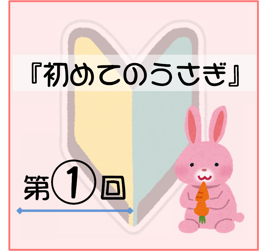 f:id:nishi244455666:20170804214651p:plain f:id:nishi244455666:20170804214651p:plain