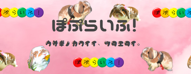 f:id:nishi244455666:20171002004319p:plain f:id:nishi244455666:20171002004319p:plain