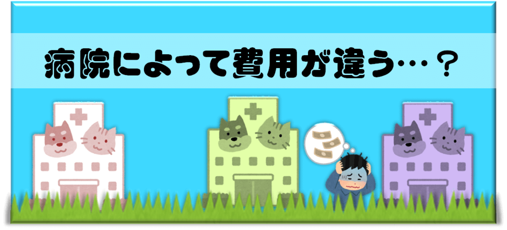 f:id:nishi244455666:20171008140155p:plain f:id:nishi244455666:20171008140155p:plain