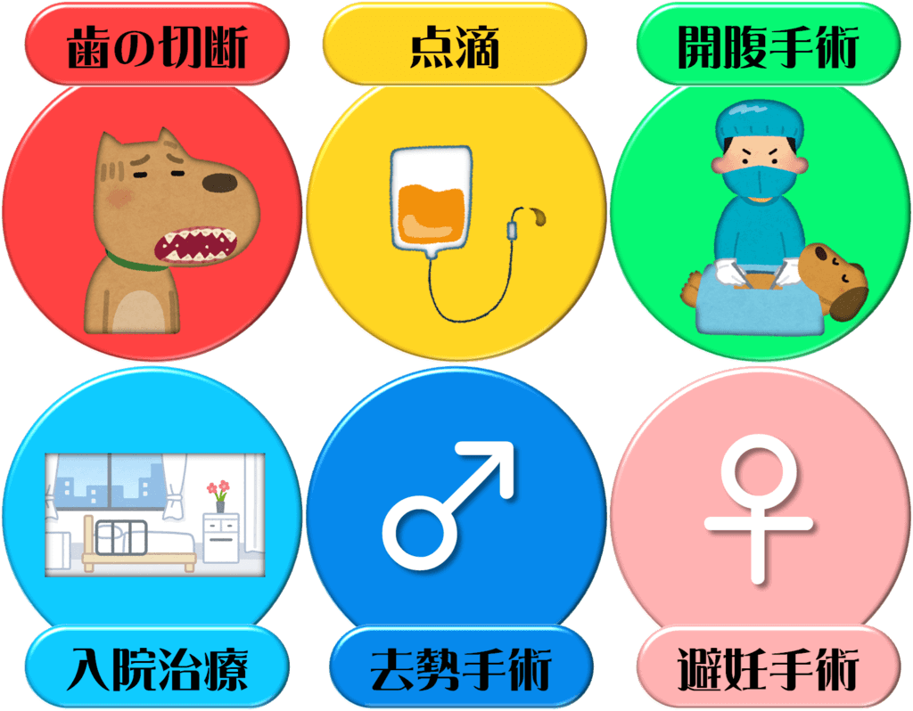 f:id:nishi244455666:20171008140300p:plain f:id:nishi244455666:20171008140300p:plain
