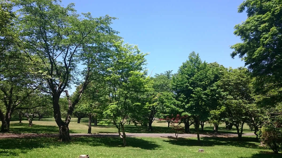 f:id:nishi30:20190623205458j:plain