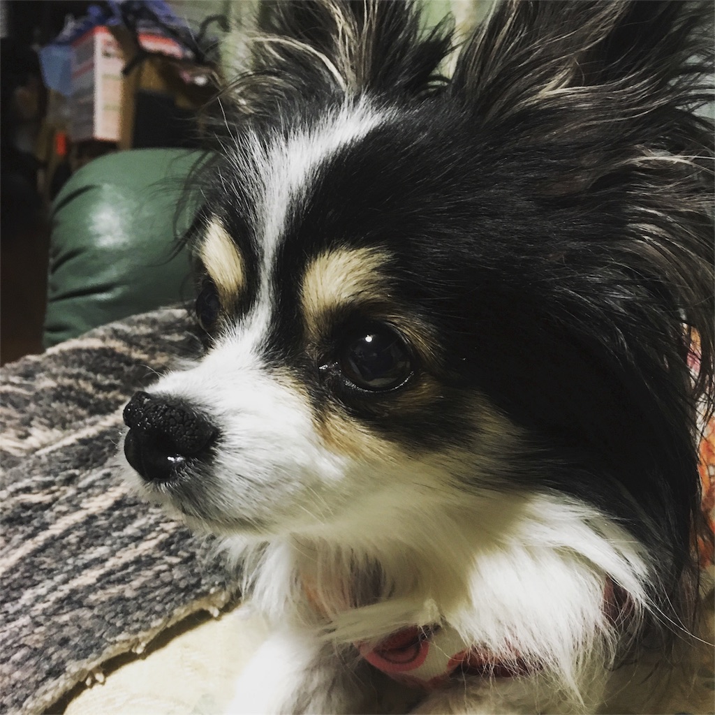 f:id:nishiblog:20180221104015j:image f:id:nishiblog:20180221104015j:image