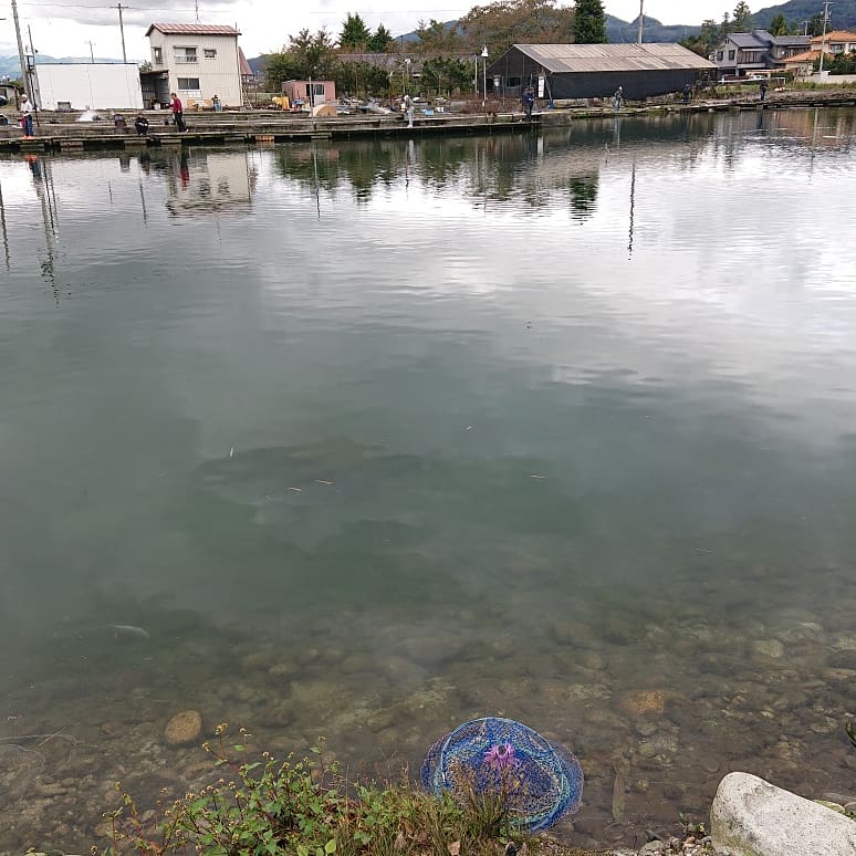 f:id:nishidai918:20191027215520j:plain